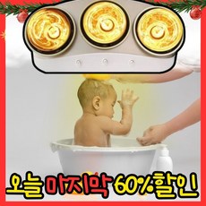 테르톤 프리미엄 3구 욕실히터, DWH-BR7301HS 가전디지털/계절가전 반품 최저가 51,000원