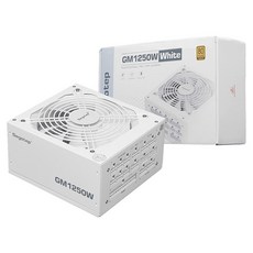 Segotep GM1250W 80PLUS GOLD 풀모듈러 ATX3.1 PCIE5.1, 화이트 가전디지털/PC부품 반품 최저가 157,610원