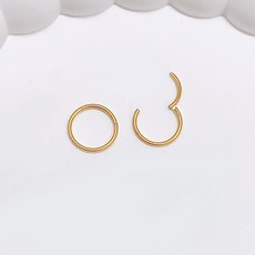 젤루나 써지컬 0.8mm 초슬림 베이직 세그먼트 원터치 링 귀걸이 P-15 8mm 2p 패션의류/잡화/남성패션 반품 최저가 6,140원