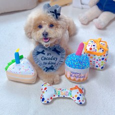 펫카 MAAH 강아지 삑삑이 장난감 생일선물 4종, 혼합색상, 1세트 반려동물용품/강아지 용품 반품 최저가 10,700원