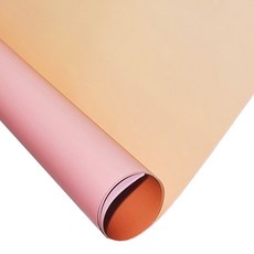 대한 소품 촬영용 그라데이션 배경지 인스타 음식 사진 스튜디오 뒷 배경지 블러시로즈, 1개 가전디지털/카메라 반품 최저가 3,160원