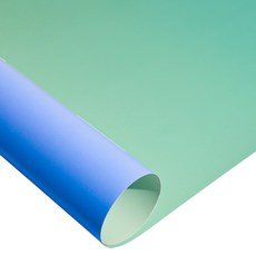 대한몰 소품 촬영용 그라데이션 배경지 인스타 음식 사진 스튜디오 뒷 배경 레이크블루, 1개 가전디지털/카메라 반품 최저가 3,520원