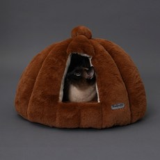 레드퍼피 개과천선 고양이 슬러치 하우스, 브라운, 1개 반려동물용품/고양이 용품 반품 최저가 23,780원