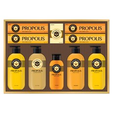 LG생활건강 프로폴리스 클래식 선물세트, 1세트 뷰티/선물세트/키트 반품 최저가 19,110원