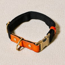 레드퍼피 강아지 레더랑 목줄, 블랙, 1개 반려동물용품/펫티켓 산책용품 반품 최저가 11,480원