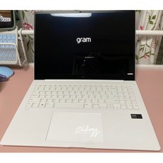 LG전자 2025 그램 Pro AI 16 WQXGA 40.6 코어 Ultra7 지포스 RTX4050, 에센스 화이트, 1TB, 32GB, WIN11 Home, 16Z90TR-SD7WK undefined/undefined 반품 최저가 2,910,970원