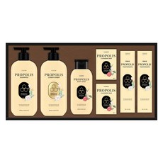 LG생활건강 프로폴리스 라이프 선물세트 + 쇼핑백, 1세트 뷰티/선물세트/키트 반품 최저가 16,610원