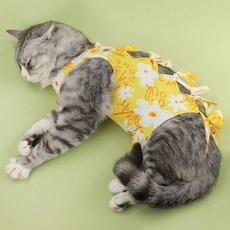 파스텔펫 반려동물 패턴 리본매듭 중성화복, 옐로우, 1개 반려동물용품/강아지 용품 반품 최저가 4,220원