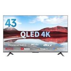샤오미 4K QLED 스마트 디스플레이 A Pro TV, 110cm(43인치), L43MA-STWN, 스탠드형, 고객직접설치 가전디지털/TV/영상가전 반품 최저가 277,800원