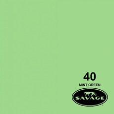 세비지 종이 롤 배경지 HALF, 40-1253(40 Mint Green), 1개 가전디지털/카메라 반품 최저가 47,740원
