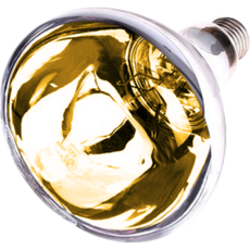 컴프라이프 욕실난방기 전용램프 IR275(175) 골드 가전디지털/계절가전 반품 최저가 9,240원