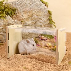 랜보어 소동물 아크릴우드 은신처 S, 클리어, 1개 반려동물용품/소동물/가축용품 반품 최저가 6,800원