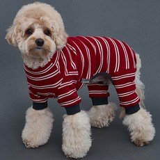 도그아이 트윈단가라 올인원, 레드, 1개 반려동물용품/강아지 용품 반품 최저가 5,670원