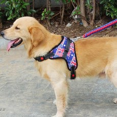 퍼플펫 강아지 대형견 중형견 L형 하네스 + 리드줄 세트 XL, 유니언잭, 1세트 반려동물용품/펫티켓 산책용품 반품 최저가 7,230원