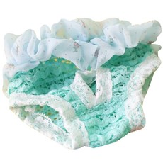 펫코디 스윗독 애견 위생팬티 F, 대형, 1개 반려동물용품/펫티켓 산책용품 반품 최저가 4,000원