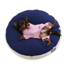 초코펫하우스 강아지 무중력 우주방석, 네이비, 1개 undefined/undefined 반품 최저가 24,400원