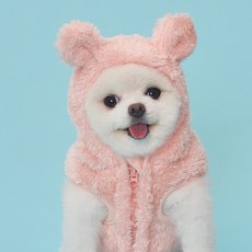 도그아이 반려동물 곰후드 베스트, 핑크, 1개 반려동물용품/고양이 용품 반품 최저가 7,840원