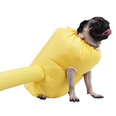 컴프라이프 펫드레서 반려동물 드라이룸 M, 옐로우, 1개 반려동물용품/강아지 용품 반품 최저가 24,630원