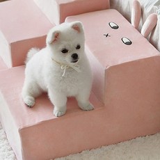 쁘리엘르 슈슈 모찌 강아지계단커버, 핑크, 1개 반려동물용품/강아지 용품 반품 최저가 16,250원