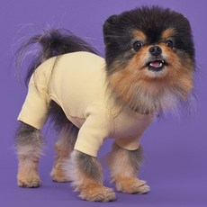 도그아이 강아지 50수 올인원 티셔츠, 옐로우, 1개 반려동물용품/강아지 용품 반품 최저가 5,410원