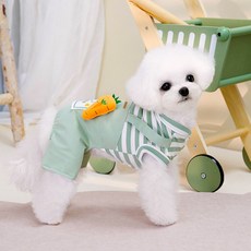 딩동펫 반려동물 당근 멜빵바지 사각팬츠, 그린, 1개 반려동물용품/강아지 용품 반품 최저가 6,480원