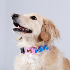 노라독 강아지 키치키치 와이드 목줄, 핑크, 1개 반려동물용품/펫티켓 산책용품 반품 최저가 15,290원