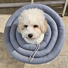 MAAH 강아지 넥카라 대형, 라벤더네이비, 1개 반려동물용품/강아지 용품 반품 최저가 9,080원