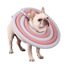 딩동펫 반려동물 초경량 넥카라, 핑크, 1개 반려동물용품/강아지 용품 반품 최저가 12,340원