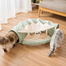 딩동펫 반려동물 고양이 숨숨 동굴형 터널하우스, 민트, 1개 반려동물용품/고양이 용품 반품 최저가 14,760원