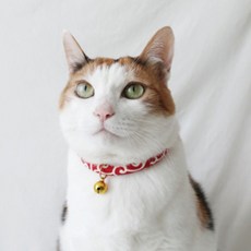 반려동물 당초무늬 방울 목걸이, 레드, 1개 반려동물용품/펫티켓 산책용품 반품 최저가 5,450원