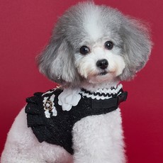 도그아이 강아지 카멜리아 하네스, 블랙, 1개 반려동물용품/펫티켓 산책용품 반품 최저가 11,760원