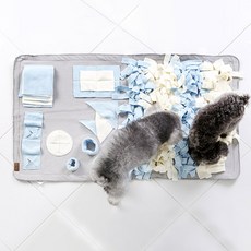 딩동펫 반려견 노즈워크 담요 대형, 그레이, 1개 반려동물용품/강아지 용품 반품 최저가 21,160원