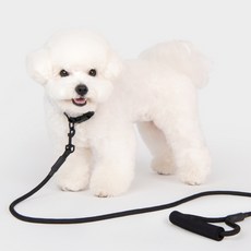 올치 카라리드 세트, 블랙, 1세트 반려동물용품/고양이 용품 반품 최저가 12,510원