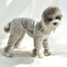 미니피니 강아지 목 올라오는 패딩 올인원, 라이트그레이, 1개 undefined/undefined 반품 최저가 21,710원