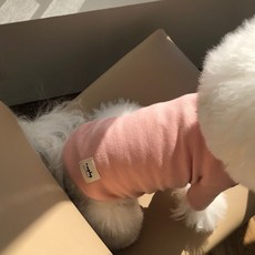 매그독 강아지 올데이 티셔츠, 핑크, 1개 반려동물용품/강아지 용품 반품 최저가 6,370원
