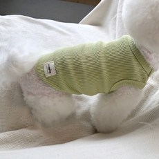 매그독 강아지 엠버 티셔츠, 연두, 1개 undefined/undefined 반품 최저가 8,230원