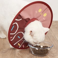 랜보어 반려동물 도넛 넥카라, 브라운, 1개 반려동물용품/강아지 용품 반품 최저가 5,690원