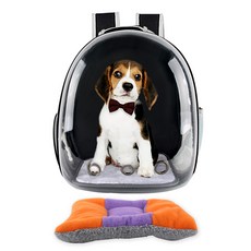 도그아이 투명우주선 강아지가방 + 방석, 블랙, 1개 반려동물용품/고양이 용품 반품 최저가 15,510원