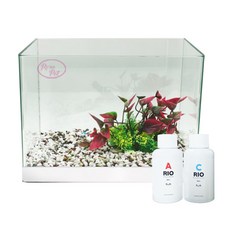로라펫 자연 가습기 어항 + 인조수초 + 컬러스톤 + 박테리아 + 물갈이제, 오색사(컬러스톤), 랜덤발송(인조수초), 1개 반려동물용품/관상어 용품 반품 최저가 24,600원