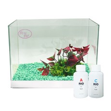 로라펫 자연 가습기 어항 + 인조수초 + 컬러스톤 + 박테리아 + 물갈이제, 에메랄드 민트(컬러스톤), 랜덤발송(인조수초), 1개 반려동물용품/관상어 용품 반품 최저가 15,990원