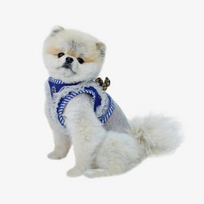 RealPet 강아지 매쉬 레이스 하네스, 로얄블루, 1개 반려동물용품/펫티켓 산책용품 반품 최저가 3,490원