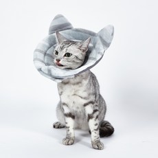 미즈펫 초경량 넥카라, 블루, 1개 반려동물용품/강아지 용품 반품 최저가 9,050원