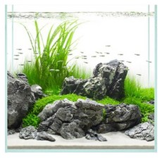 모비딕 엘레강스 초백어항, 투명, 1개 반려동물용품/관상어 용품 반품 최저가 18,490원