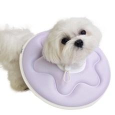 더플래 반려동물 반반 초경량 넥카라, 퍼플/옐로, 1개 반려동물용품/강아지 용품 반품 최저가 8,050원