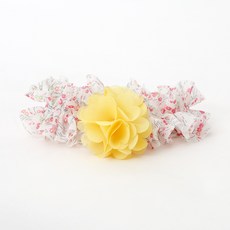 이츠독 강아지 사샤 목걸이 XL, 화이트(D), 1개 반려동물용품/펫티켓 산책용품 반품 최저가 2,200원