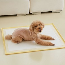 써니데이즈 강아지 논슬립 실리콘 배변매트 옐로우, 1개, 1개입 반려동물용품/강아지 용품 반품 최저가 21,010원