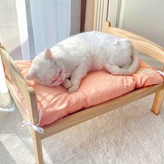 랜보어 반려동물 베이직 엠보 쿠션, 코랄, 1개 반려동물용품/강아지 용품 반품 최저가 5,720원