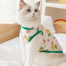 아티펫 반려동물 프루츠 통기성 얇은 견인 조끼, 그린, 1개 반려동물용품/고양이 용품 반품 최저가 6,570원
