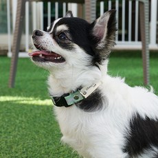 유봉펫 야간반사 강아지 목줄, 밀크그린, 1개 undefined/undefined 반품 최저가 750원