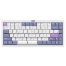앱코 8K 로우 프로파일 슬림 유무선 텐키리스 키보드 35g, LKN84BT, 화이트, 무접점 가전디지털/키보드/마우스 반품 최저가 117,390원